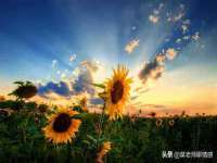 义乌市歆馑电子商务商行