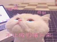 义乌市歆馑电子商务商行
