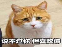 义乌市歆馑电子商务商行