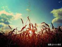 义乌市歆馑电子商务商行