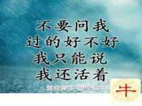 义乌市歆馑电子商务商行