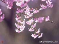 义乌市歆馑电子商务商行