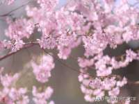 义乌市歆馑电子商务商行