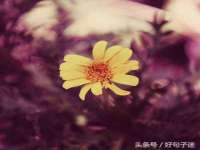 义乌市歆馑电子商务商行