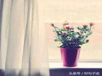 义乌市歆馑电子商务商行