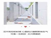 义乌市歆馑电子商务商行