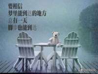 义乌市歆馑电子商务商行