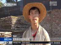 义乌市歆馑电子商务商行