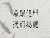 义乌市歆馑电子商务商行