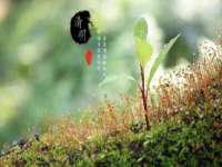 义乌市歆馑电子商务商行