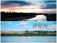 义乌市歆馑电子商务商行