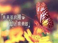 义乌市歆馑电子商务商行