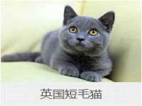 义乌市歆馑电子商务商行