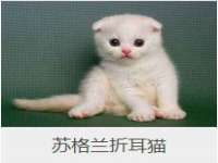 义乌市歆馑电子商务商行