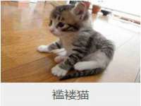 义乌市歆馑电子商务商行