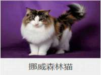 义乌市歆馑电子商务商行