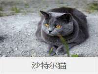 义乌市歆馑电子商务商行