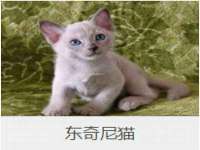 义乌市歆馑电子商务商行