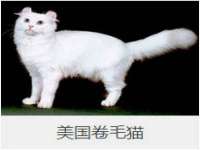义乌市歆馑电子商务商行