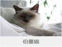 义乌市歆馑电子商务商行