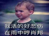 义乌市歆馑电子商务商行