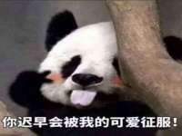 义乌市歆馑电子商务商行