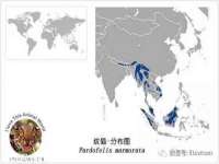 义乌市歆馑电子商务商行