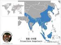 义乌市歆馑电子商务商行