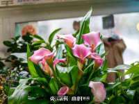 义乌市歆馑电子商务商行