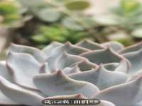 义乌市歆馑电子商务商行