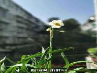 义乌市歆馑电子商务商行