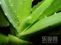 义乌市歆馑电子商务商行