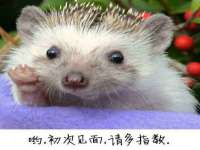 义乌市歆馑电子商务商行