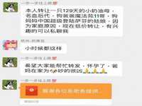 义乌市歆馑电子商务商行