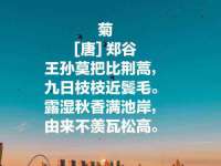 义乌市歆馑电子商务商行