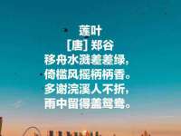 义乌市歆馑电子商务商行