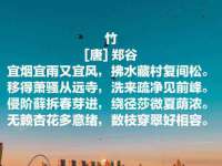 义乌市歆馑电子商务商行
