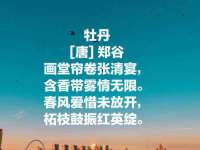 义乌市歆馑电子商务商行