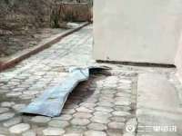 义乌市歆馑电子商务商行