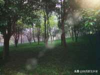 义乌市歆馑电子商务商行