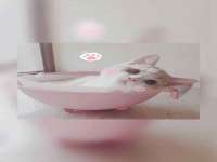 义乌市歆馑电子商务商行