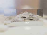 义乌市歆馑电子商务商行