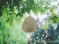 义乌市歆馑电子商务商行