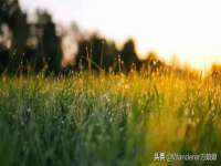 义乌市歆馑电子商务商行