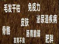义乌市歆馑电子商务商行