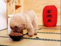 义乌市歆馑电子商务商行