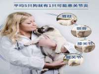 义乌市歆馑电子商务商行