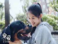 义乌市歆馑电子商务商行