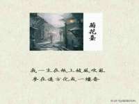 义乌市歆馑电子商务商行
