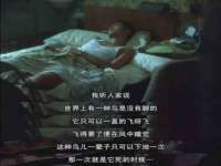 义乌市歆馑电子商务商行